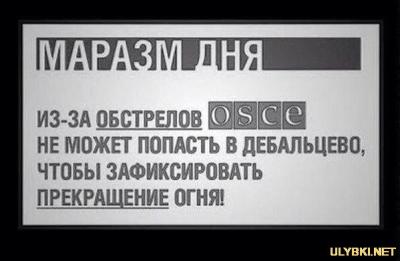 Прикрепленное изображение: marazm_dnja_-_OSCE_20150218023341.jpg